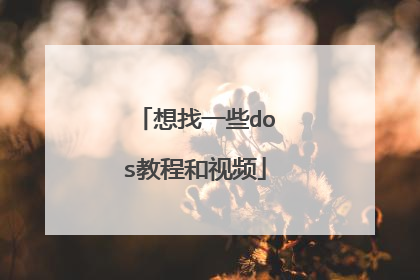 想找一些dos教程和视频