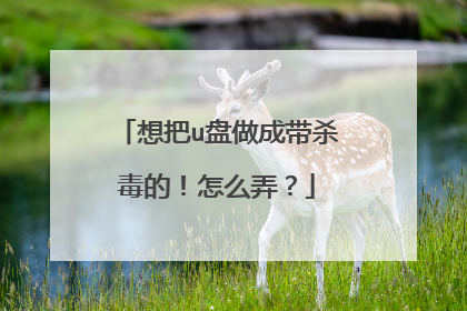 想把u盘做成带杀毒的!怎么弄?