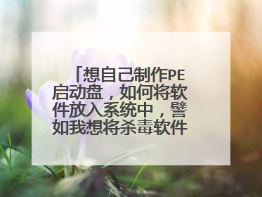 想自己制作PE启动盘，如何将软件放入系统中，譬如我想将杀毒软件放进去。最好可以详细点。谢谢