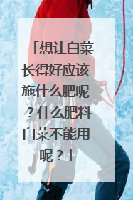 想让白菜长得好应该施什么肥呢?什么肥料白菜不能用呢?