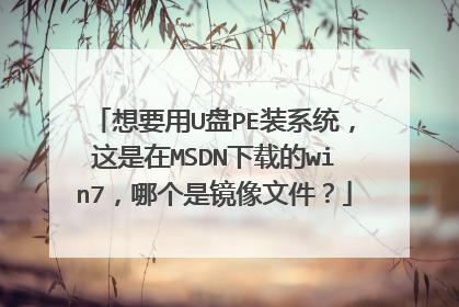 想要用U盘PE装系统,这是在MSDN下载的win7,哪个是镜像文件?