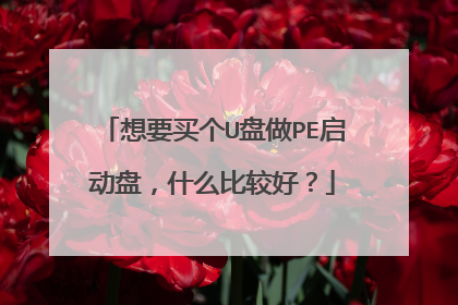 想要买个U盘做PE启动盘，什么比较好？