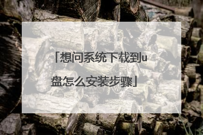 想问系统下载到u盘怎么安装步骤