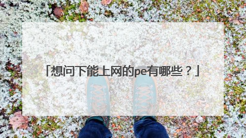 想问下能上网的pe有哪些?