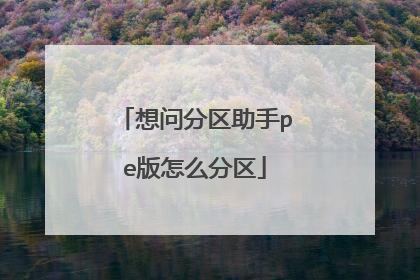 想问分区助手pe版怎么分区