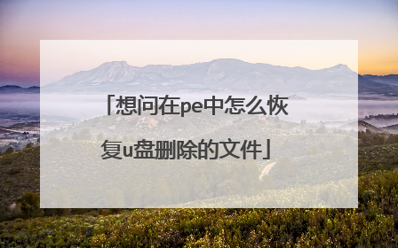 想问在pe中怎么恢复u盘删除的文件