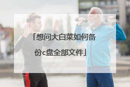 想问大白菜如何备份c盘全部文件