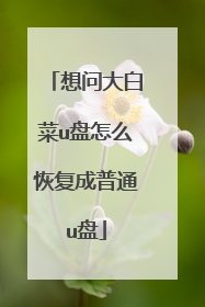 想问大白菜u盘怎么恢复成普通u盘