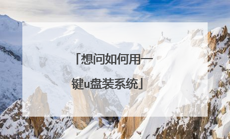 想问如何用一键u盘装系统