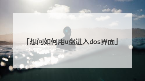 想问如何用u盘进入dos界面