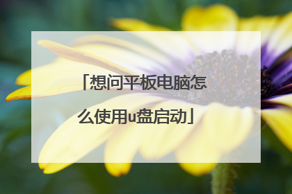 想问平板电脑怎么使用u盘启动