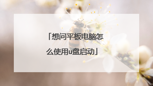 想问平板电脑怎么使用u盘启动
