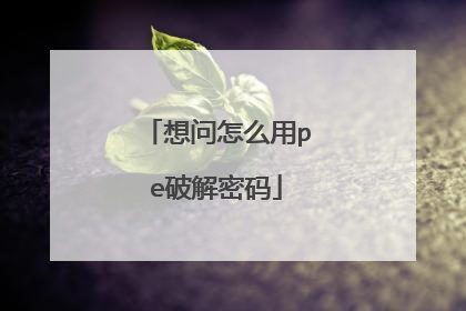想问怎么用pe破解密码