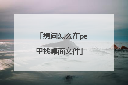 想问怎么在pe里找桌面文件