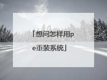 想问怎样用pe重装系统