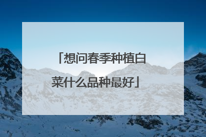 想问春季种植白菜什么品种最好