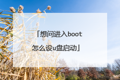 想问进入boot怎么设u盘启动