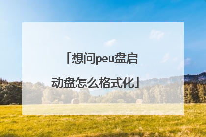 想问peu盘启动盘怎么格式化