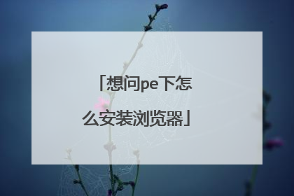 想问pe下怎么安装浏览器