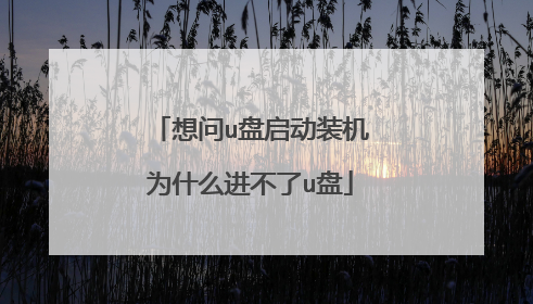 想问u盘启动装机为什么进不了u盘