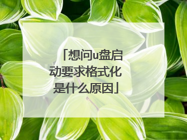 想问u盘启动要求格式化是什么原因