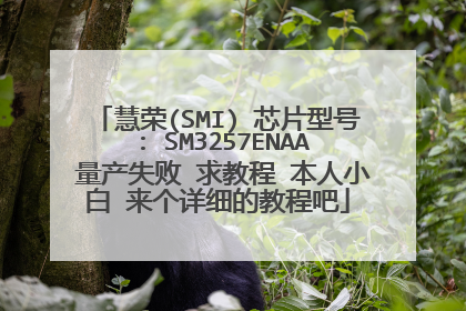 慧荣(SMI) 芯片型号 : SM3257ENAA 量产失败 求教程 本人小白 来个详细的教程吧