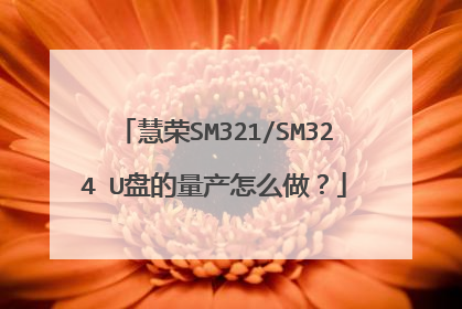慧荣SM321/SM324 U盘的量产怎么做?