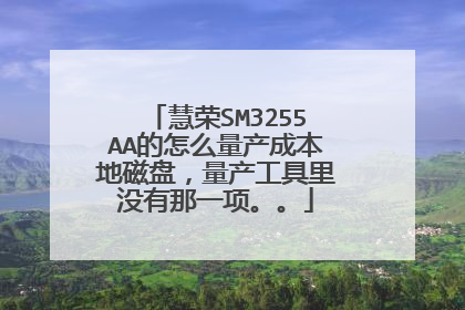 慧荣SM3255AA的怎么量产成本地磁盘,量产工具里没有那一项。。