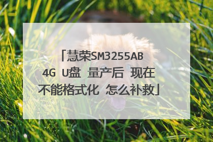 慧荣SM3255AB 4G U盘 量产后 现在不能格式化 怎么补救