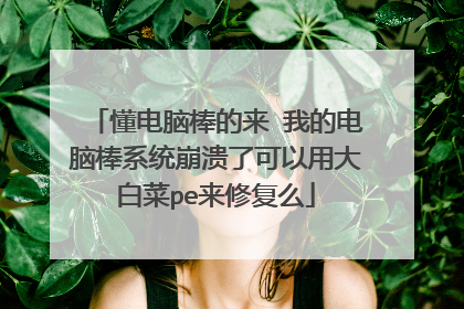 懂电脑棒的来 我的电脑棒系统崩溃了可以用大白菜pe来修复么