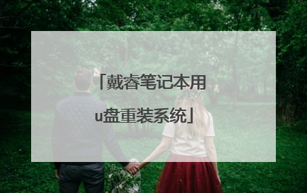 戴睿笔记本用u盘重装系统