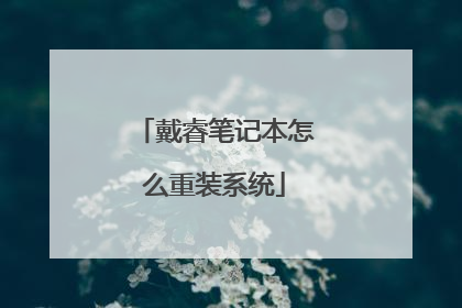 戴睿笔记本怎么重装系统