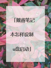 戴睿笔记本怎样设制u盘启动