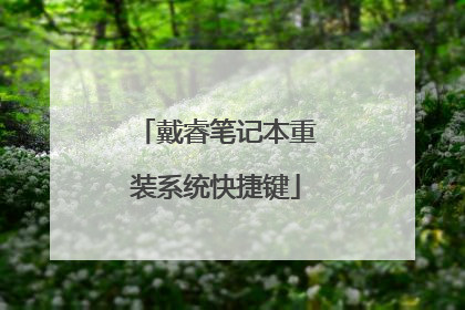 戴睿笔记本重装系统快捷键