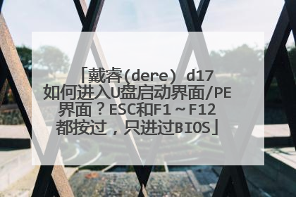 戴睿(dere) d17如何进入U盘启动界面/PE界面?ESC和F1~F12都按过,只进过BIOS