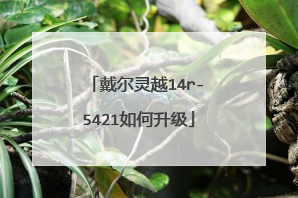 戴尔灵越14r-5421如何升级