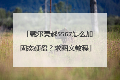 戴尔灵越5567怎么加固态硬盘?求图文教程