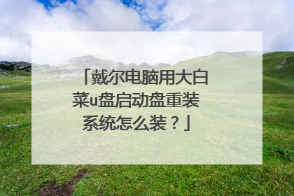 戴尔电脑用大白菜u盘启动盘重装系统怎么装?