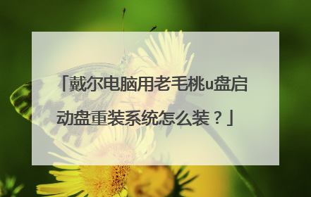 戴尔电脑用老毛桃u盘启动盘重装系统怎么装?
