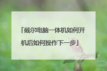 戴尔电脑一体机如何开机后如何操作下一步