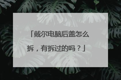 戴尔电脑后盖怎么拆,有拆过的吗?