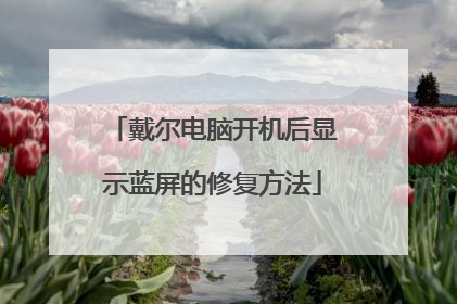 戴尔电脑开机后显示蓝屏的修复方法