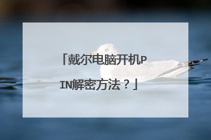 戴尔电脑开机PIN解密方法？