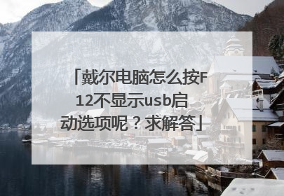 戴尔电脑怎么按F12不显示usb启动选项呢?求解答