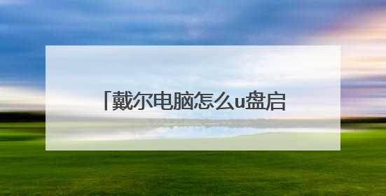 戴尔电脑怎么u盘启动进入不了怎么办?