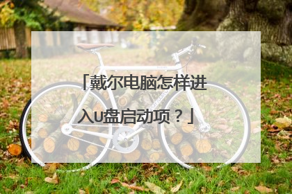 戴尔电脑怎样进入U盘启动项?