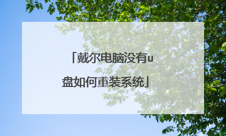 戴尔电脑没有u盘如何重装系统