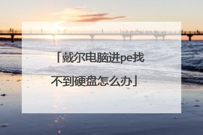 戴尔电脑进pe找不到硬盘怎么办