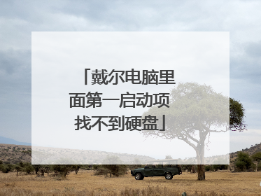 戴尔电脑里面第一启动项找不到硬盘