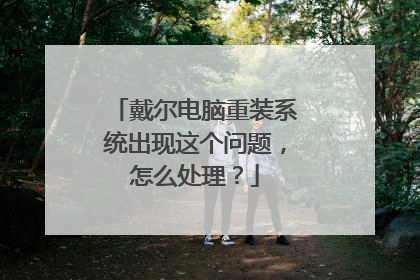 戴尔电脑重装系统出现这个问题，怎么处理？